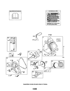 Cylinder/Crankshaft/Crankcase Diagram and Parts List for 210300 0035-1142 Briggs and Stratton Engine